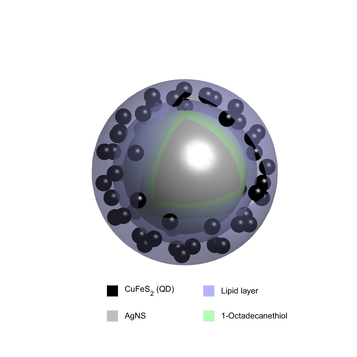 Schematic of the AgNP-CuFeS2 hybrid nanostructure